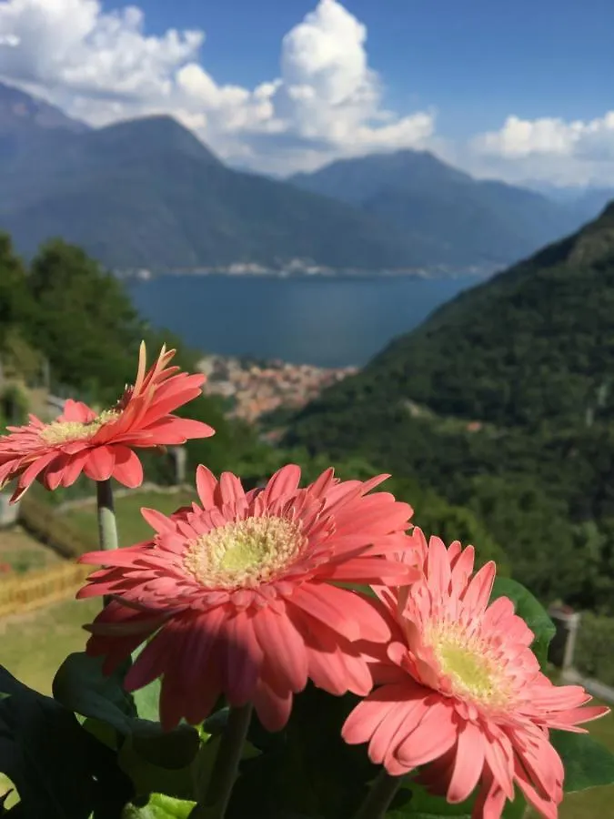 Angolo Di Lago Gravedona